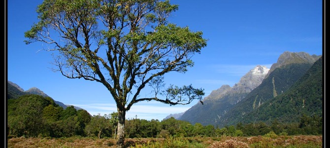 Hollyford trek – Nový Zéland