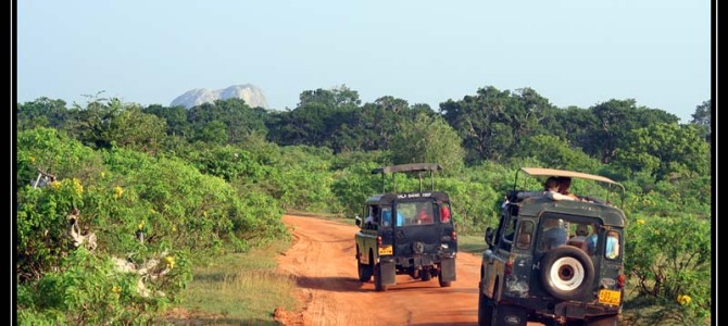 Safari a národní park Yalla – Srí Lanka