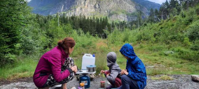 Den 19. Borůvky, maliny, Skjervsfossen, Vossavangen a Tvinnefossen